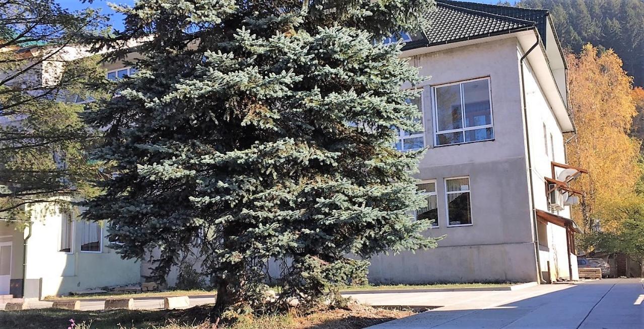 Apartaments In Karpaty Mizhhirya  Exteriér fotografie